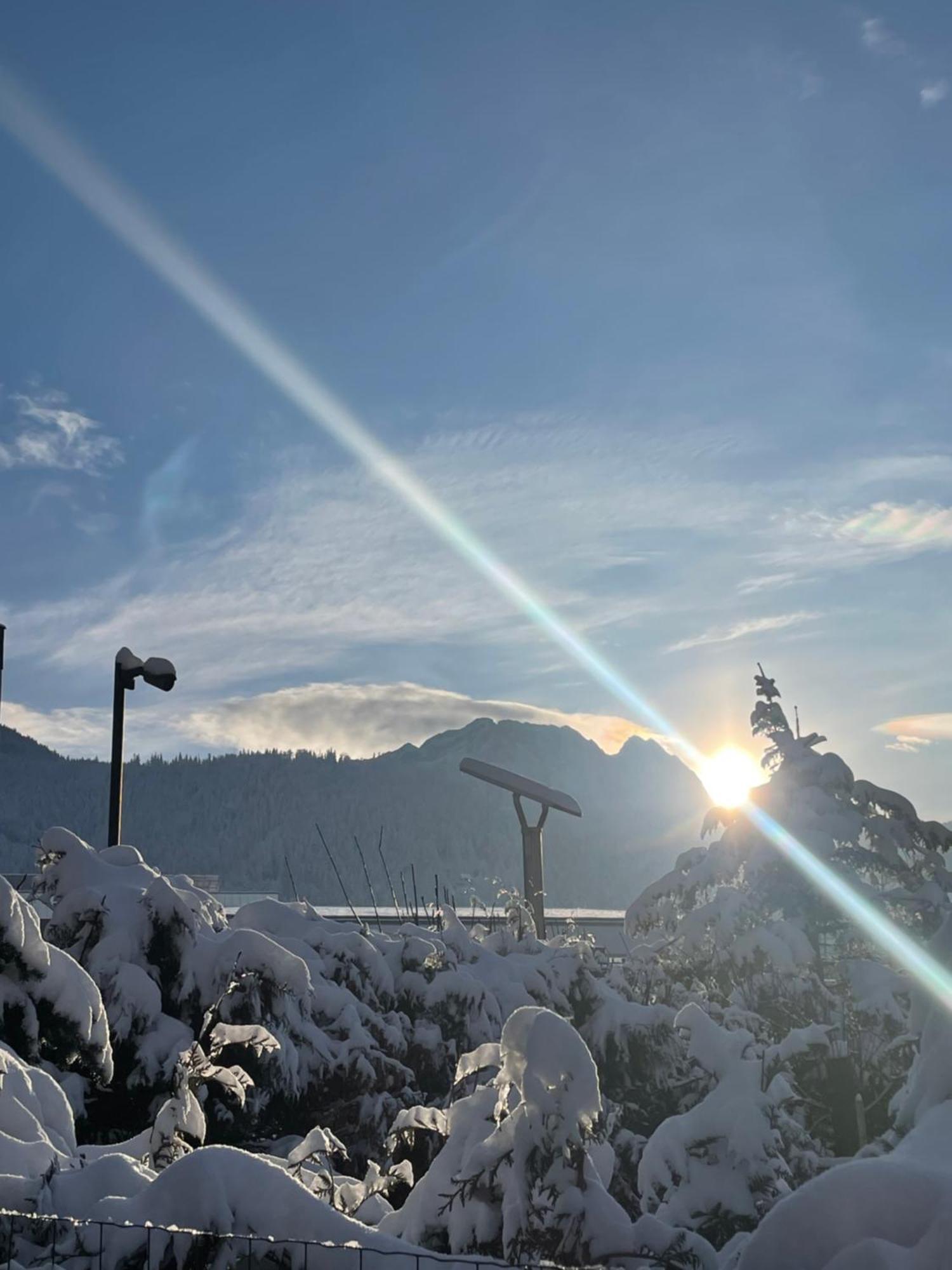 Owce Dwie Zakopane Exteriér fotografie